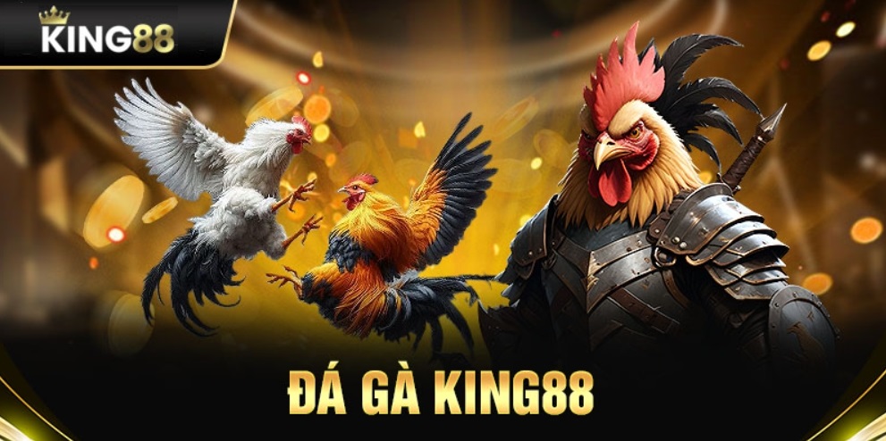 Đôi nét về đá gà King88