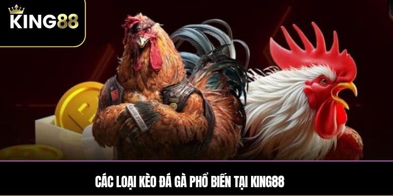 Các thể loại đá gà King88