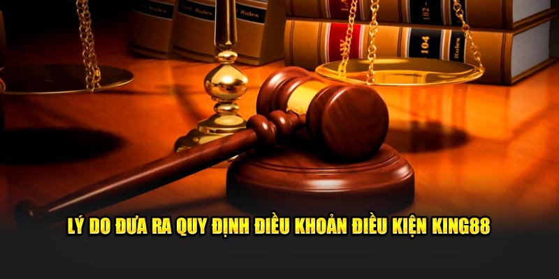 Hiểu rỏ lý do đưa ra điều khoản điều kiện